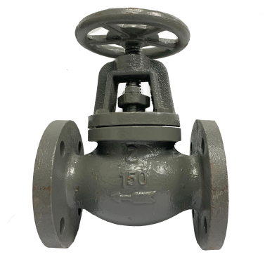 ANSI 150 cast iron globe valve showing the raised flange face and bolt holes