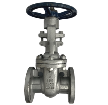 ANSI 150 cast steel gate valve showing the raised flange face and bolt holes