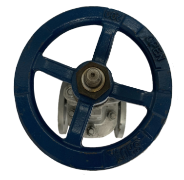 ANSI 150 cast steel gate valve showing the handwheel and rising stem