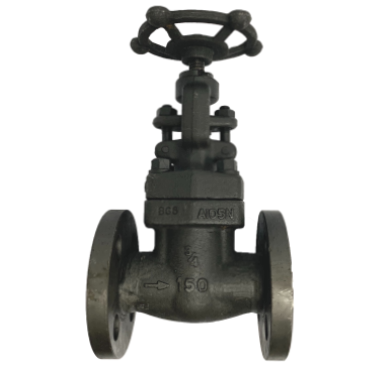 ANSI 150 forged steel globe valve showing the bonnet, gland flange and packing