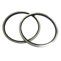 A pair of bonded seals seen from the face, the dark elastomer bonded to the inner edge of a bright metal ring