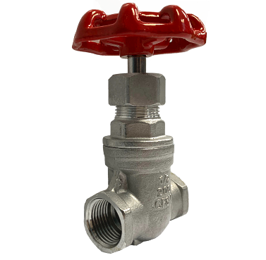 Threaded SS316 gate valve showing the BSPP parallel thread