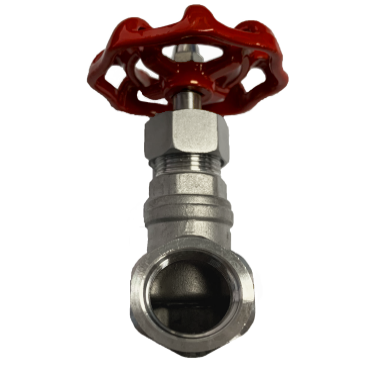 BSPT threaded SS316 globe valve, 200 PSI, side elevation showing the handwheel