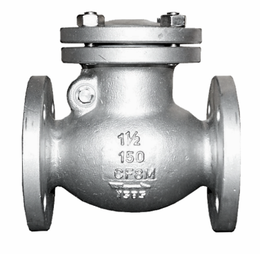 ANSI 150 SS316 swing check valve showing the raised flange face and bolt holes