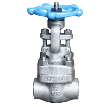 Threaded SS316 gate valve rated 800 PSI, BSPP or NPT