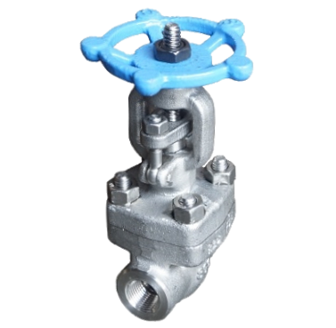 Threaded SS316 800 PSI gate valve showing the thread