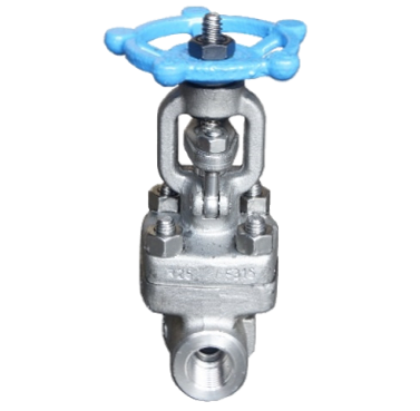 Threaded SS316 800 PSI gate valve showing the bonnet and rising stem