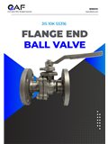 AF Hydro JIS 10K SS316 flange end ball valves catalogue cover