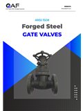 AF Hydro ANSI 150 forged steel flange end gate valves catalogue cover