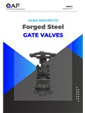 AF Hydro socket weld A105 gate valves 800 PSI catalogue cover