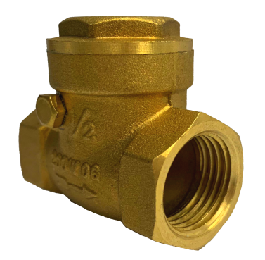 Threaded brass swing check valve showing the screw-on cap and gasket