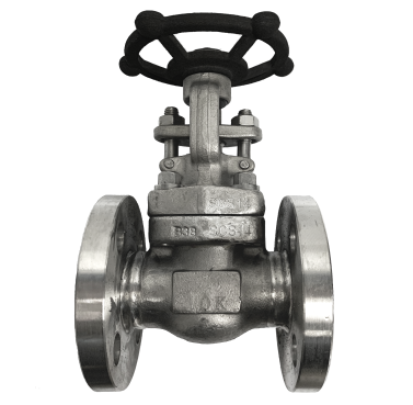 SS316 flange end gate valve, front view