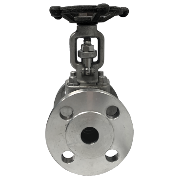 JIS 10K SS316 gate valve showing the raised flange face and bolt holes