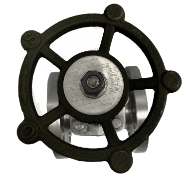 JIS 10K SS316 globe valve showing the flange face and bolt holes