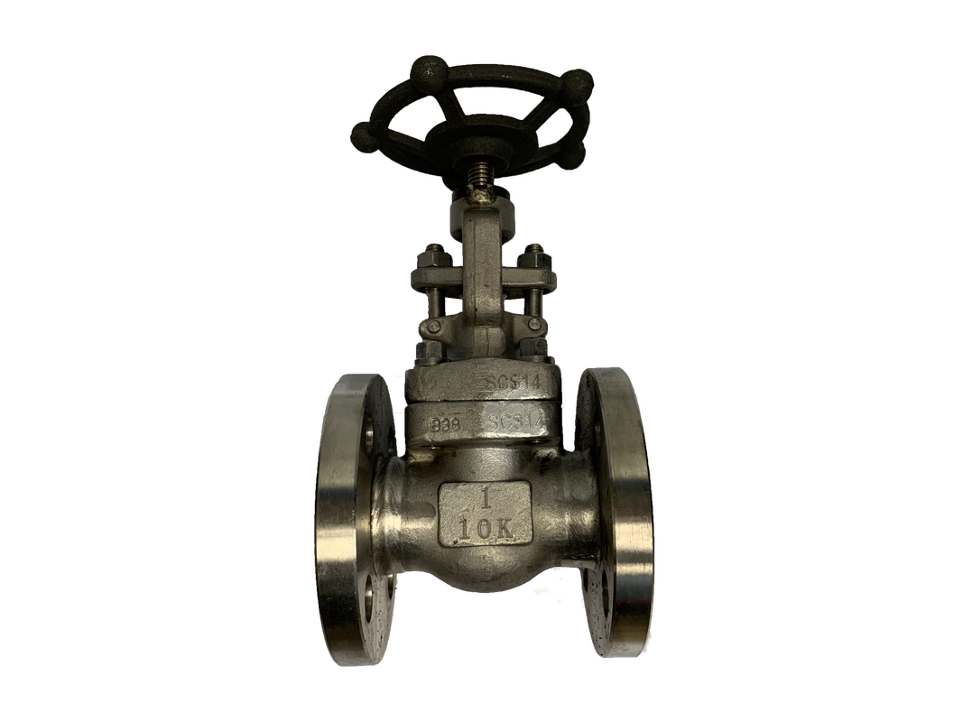 JIS 10K SS316 globe valve showing the bonnet, stainless bolting and gland