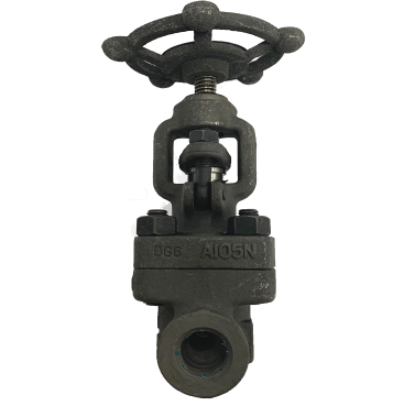 NPT threaded forged steel globe valve showing the tapered pipe thread in the end connection