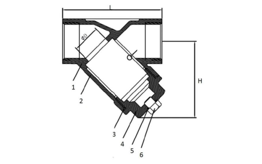 Sectional drawing of a threaded SS316 Y-strainer with callouts 1 to 6 and the dimensions L, H and diameter D marked