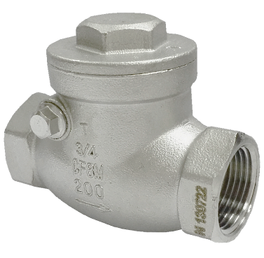 Threaded SS316 swing check valve showing the female tapered pipe thread