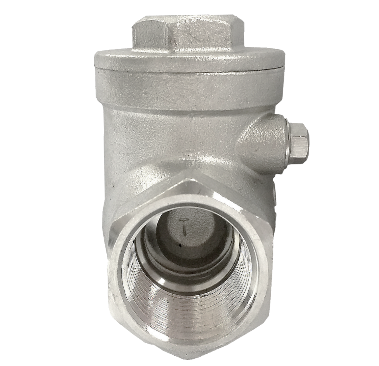 Threaded SS316 swing check valve showing the screw-on cap and gasket joint