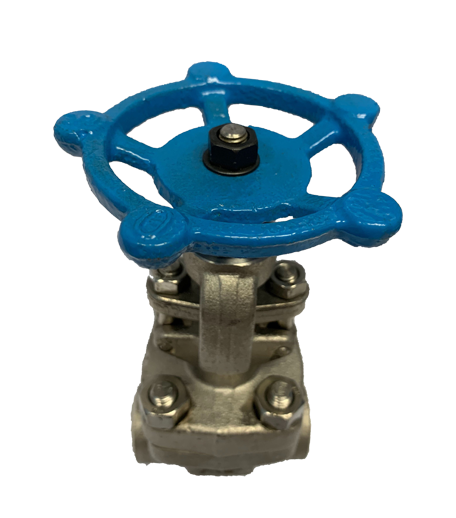 NPT threaded SS316 globe valve, 800 PSI, viewed from above showing the handwheel and stem nut
