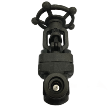Socket weld end forged steel A105 gate valve rated 800 PSI