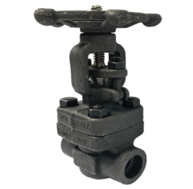Socket weld forged steel gate valve showing the handwheel and rising stem