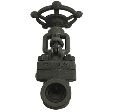 Socket weld forged steel A105 globe valve rated 800 PSI