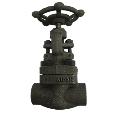 Socket weld forged steel globe valve showing the socket bore and weld preparation