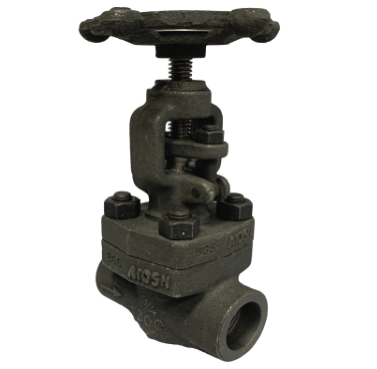 Socket weld forged steel globe valve showing the bolted bonnet and gland flange