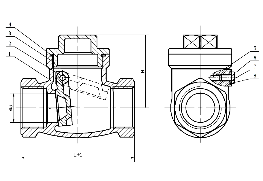 Sectional drawing of a threaded SS316 swing check valve with numbered callouts